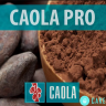 Какао-порошок Россия CAOLA PRO, 100гр